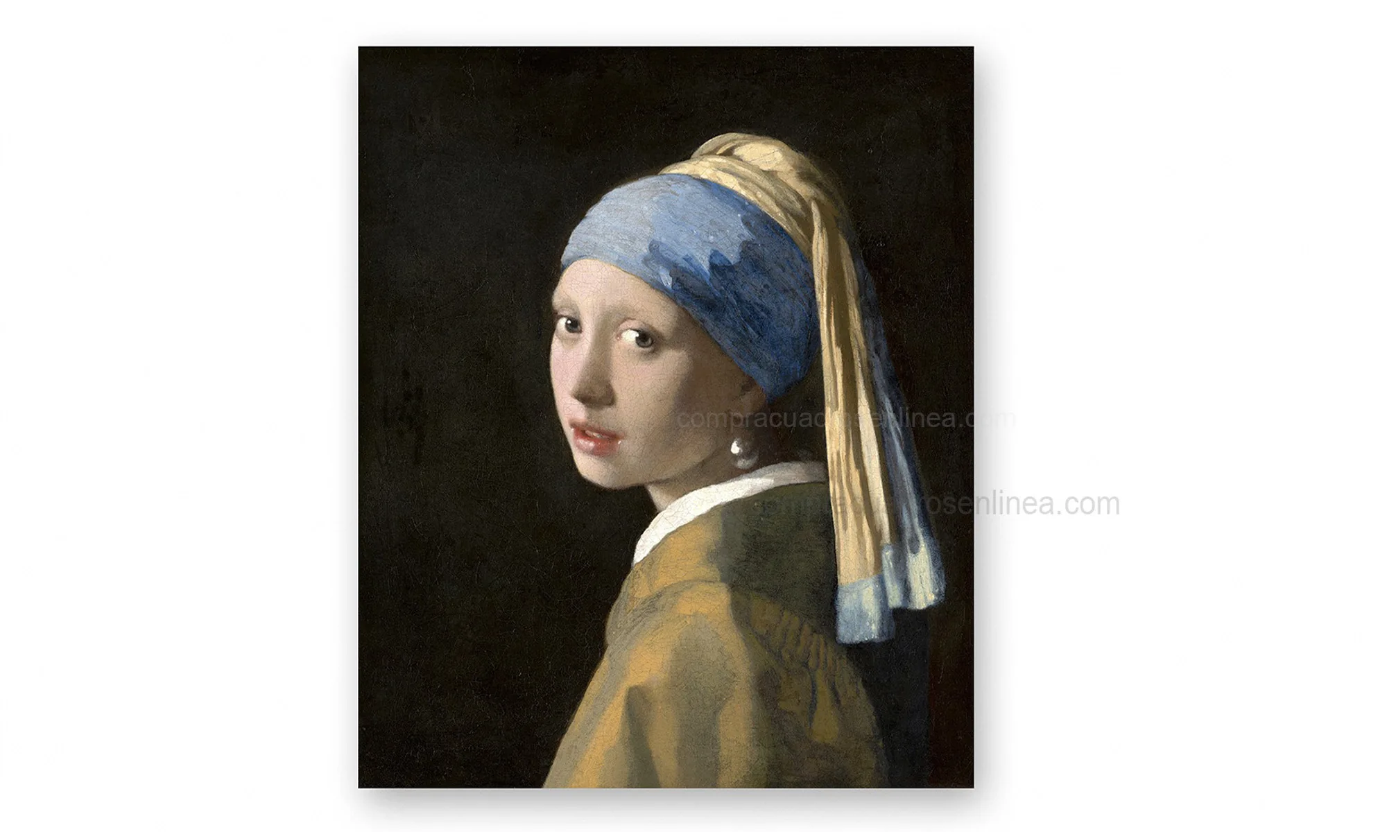 Cuadro La Joven de la Perla de Vermeer en Lienzo Cuadro La Joven de la Perla de Vermeer en lienzo decorativo